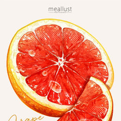 This is a pixiv picture whose title is grapefruit.