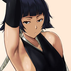 This is a pixiv picture whose title is 砕蜂.