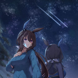 This is a pixiv picture whose title is アドマイヤベガ.