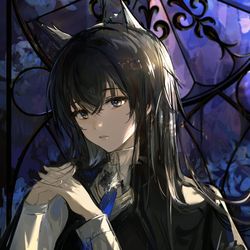 This is a pixiv picture whose title is 缄默德克萨斯.