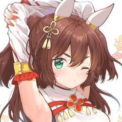 This is a pixiv picture whose title is イナリワン新衣装.