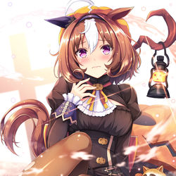 This is a pixiv picture whose title is ハロウィンの日を一日間違えたメイショウドトウ.