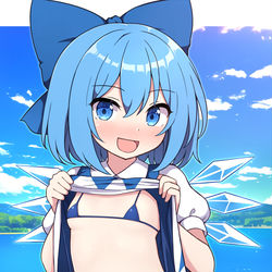 This is a pixiv picture whose title is 露出チルノちゃん.