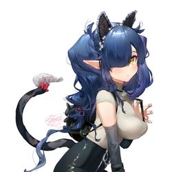 This is a pixiv picture whose title is サキュにゃ～.