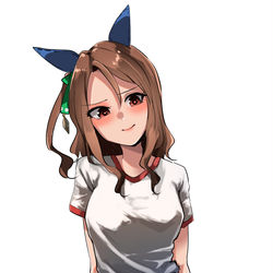 This is a pixiv picture whose title is 体操服スパッツキング.