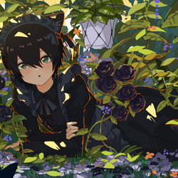 This is a pixiv picture whose title is クロヌコと植物園.