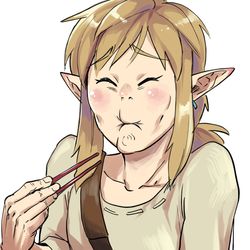 This is a pixiv picture whose title is 酸っぱいもん食ったリンク.