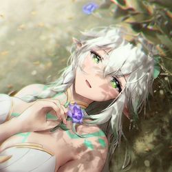 This is a pixiv picture whose title is rukkhadevata / nahida.