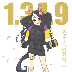 This is a pixiv picture whose title is "スピードの美学".