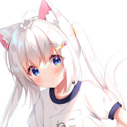 This is a pixiv picture whose title is チラ見せブルマネコちゃん.