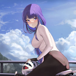 This is a pixiv picture whose title is 雷電将軍.