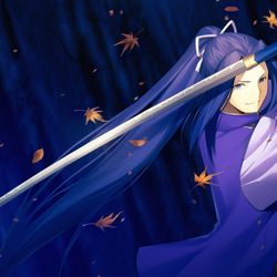 This is a pixiv picture whose title is アサシン/佐々木小次郎.