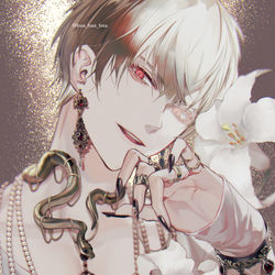 This is a pixiv picture whose title is 飾.
