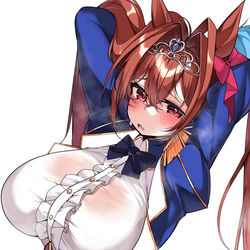 This is a pixiv picture whose title is アツいレース後のダイワスカーレット.