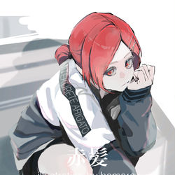 This is a pixiv picture whose title is 赤髪.
