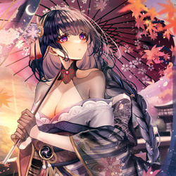 This is a pixiv picture whose title is 紅葉狩り.