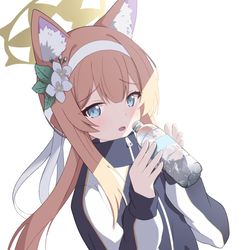 This is a pixiv picture whose title is 体操服マリー.