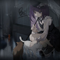This is a pixiv picture whose title is 雨宿り🐈.