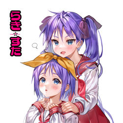 This is a pixiv picture whose title is 柊姉妹.