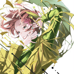 This is a pixiv picture whose title is イチョウ.
