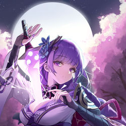 This is a pixiv picture whose title is 雷电将军.