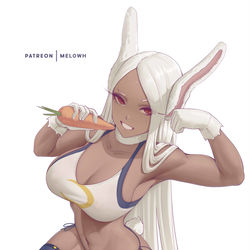 This is a pixiv picture whose title is Mirko.