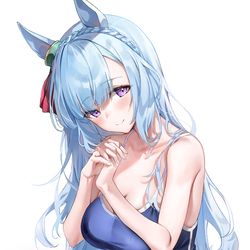 This is a pixiv picture whose title is メジロアルダン.