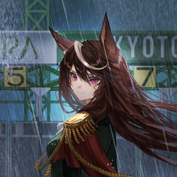 This is a pixiv picture whose title is 嵐の中で輝くシンボリルドルフ.