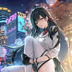 This is a pixiv picture whose title is 凜夜.