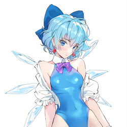 This is a pixiv picture whose title is チルノ.