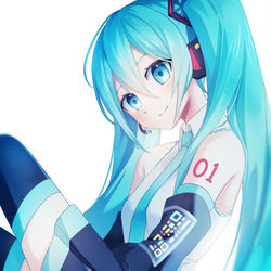 This is a pixiv picture whose title is miku.