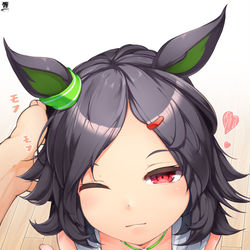 This is a pixiv picture whose title is 冬毛でモフモフなチケゾーもといモフゾー.