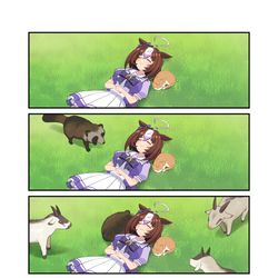 This is a pixiv picture whose title is 動物王のドットさん.