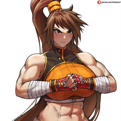 This is a pixiv picture whose title is Striker.