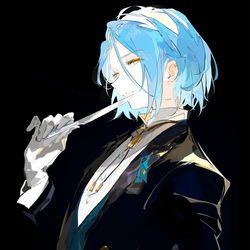 This is a pixiv picture whose title is ✻✻.