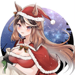 This is a pixiv picture whose title is ミニスカサンタルドルフ.