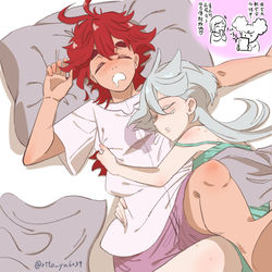 This is a pixiv picture whose title is 睡相.