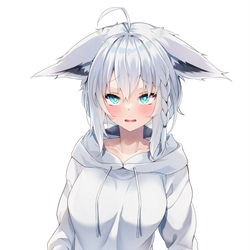 This is a pixiv picture whose title is そろそろほしいフブキちゃん.