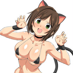 This is a pixiv picture whose title is いつもの猫さん.