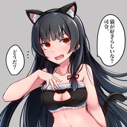 This is a pixiv picture whose title is 磯にゃん.