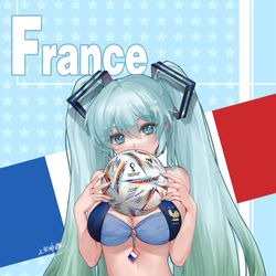 This is a pixiv picture whose title is 世界杯初音.