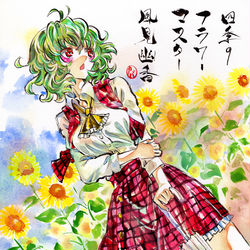 This is a pixiv picture whose title is 風見幽香.