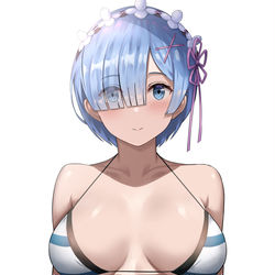 This is a pixiv picture whose title is レム.