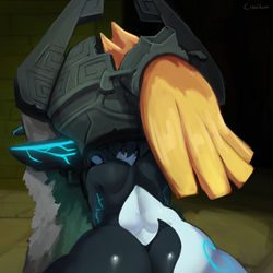 This is a pixiv picture whose title is Midna on Wolf Link.
