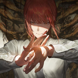 This is a pixiv picture whose title is makima.