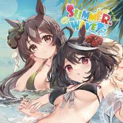 This is a pixiv picture whose title is 【C101新刊】SUMMER WAVES.