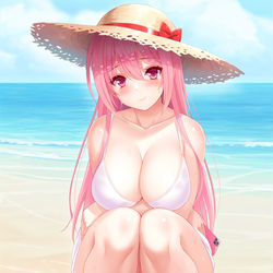 This is a pixiv picture whose title is 浜辺のお姉さん.