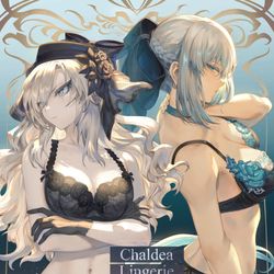 This is a pixiv picture whose title is C101新刊　FGO下着モデル本.