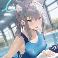 This is a pixiv picture whose title is Shiroko.