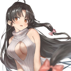 This is a pixiv picture whose title is 祥鳳.